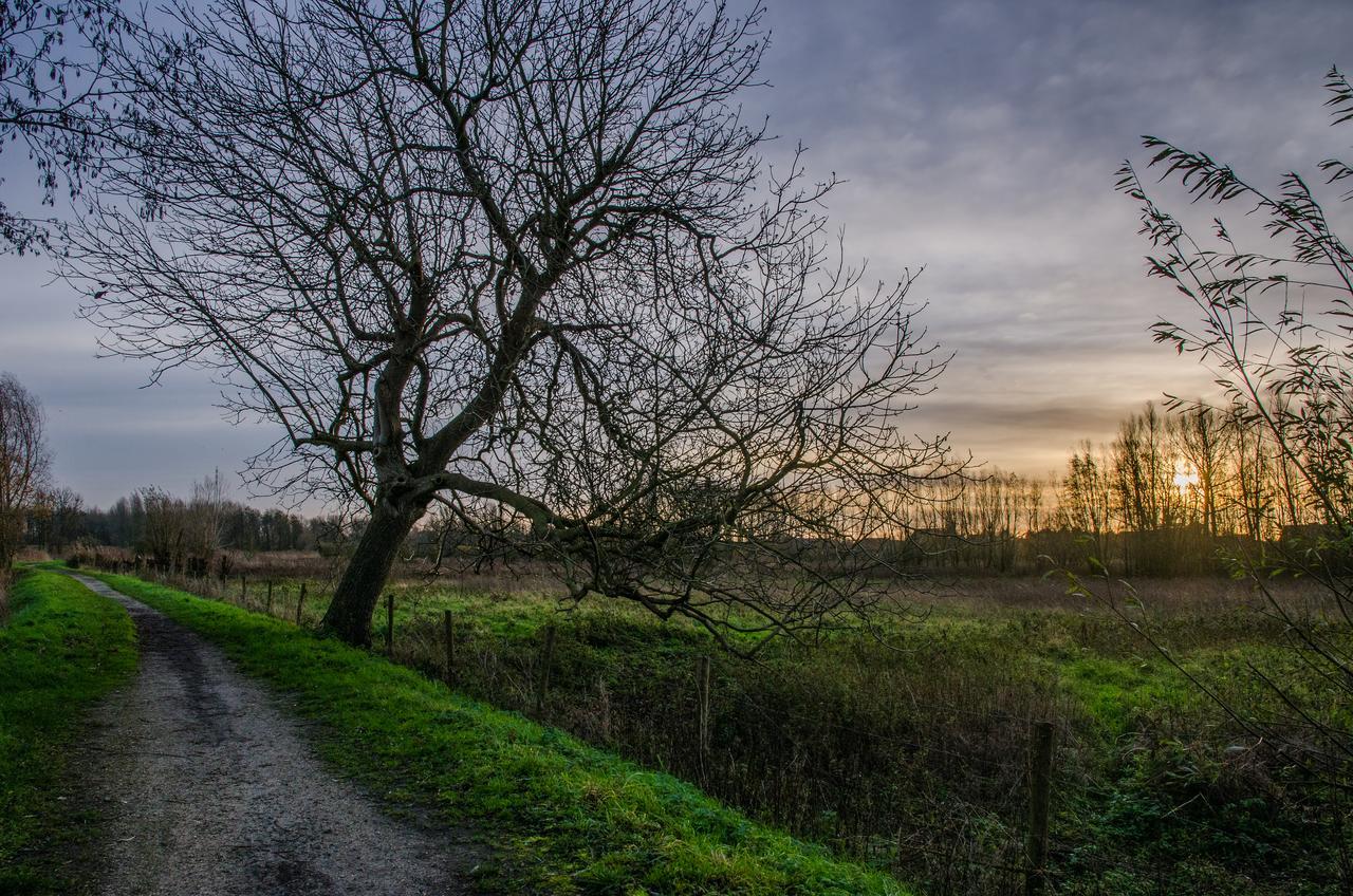 De Koolputten Frühstückspension 3*